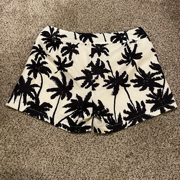 Freeway Palm Tree Print Lined Shorts - Picture 6 of 8